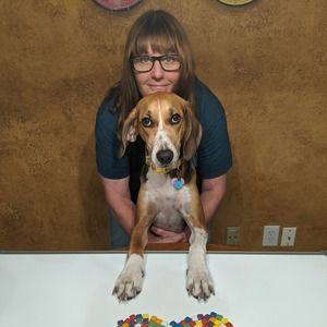 Meet your Posher, Melissa